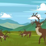 caribou-on-the-hills-vector[1]